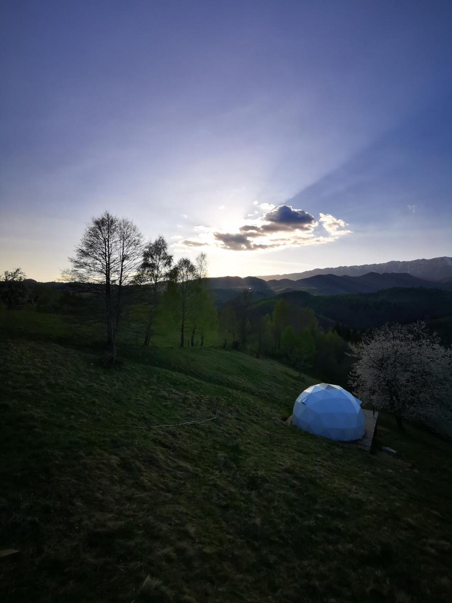 Glamping Zazen Hotel Drumu Carului Kültér fotó