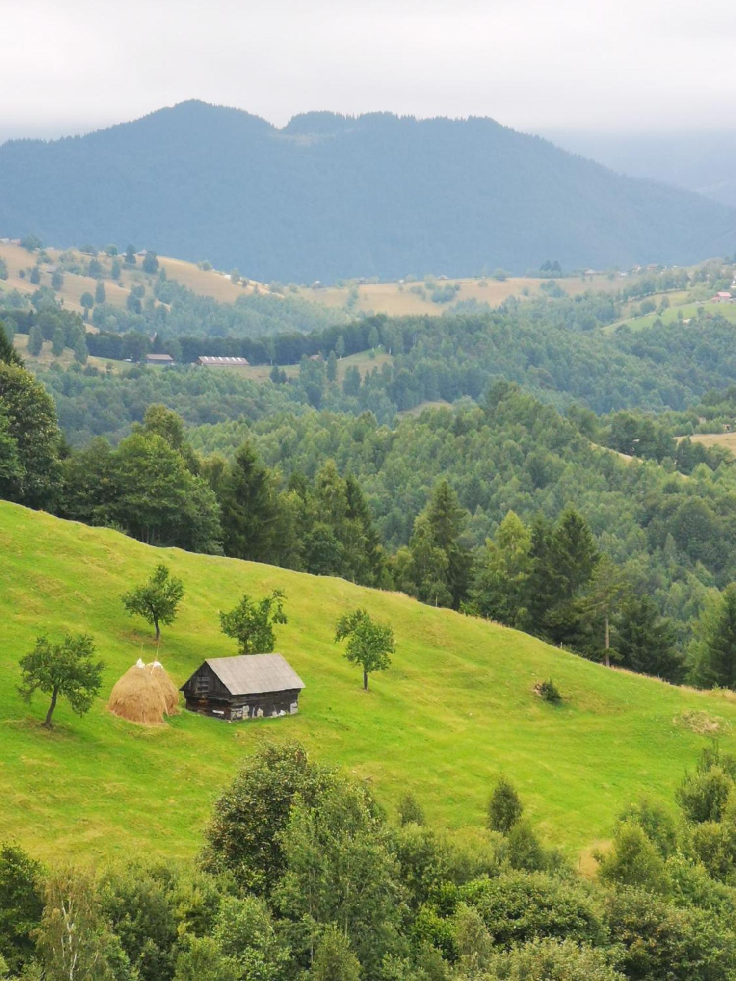Glamping Zazen Hotel Drumu Carului Kültér fotó
